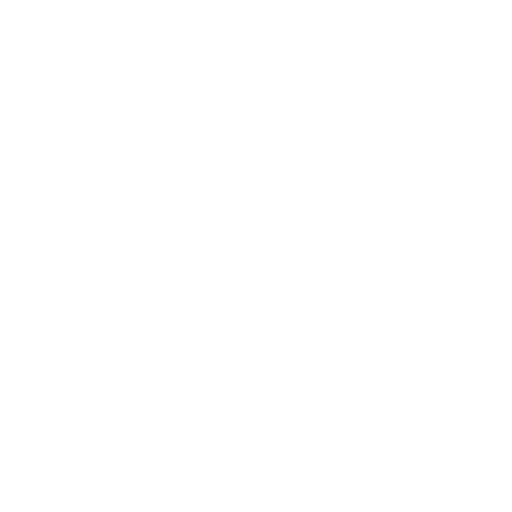 Logo diving bear